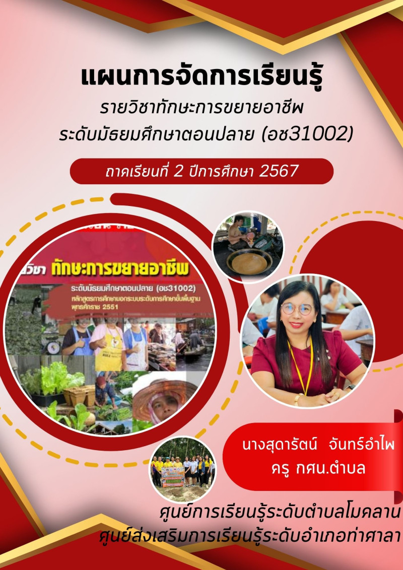 ทักษะการขยายอาชีพ